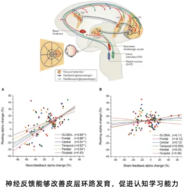 166270656469934543.webp 资源 1.webp